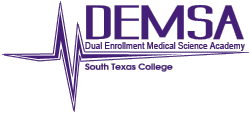 DEMSA Logo