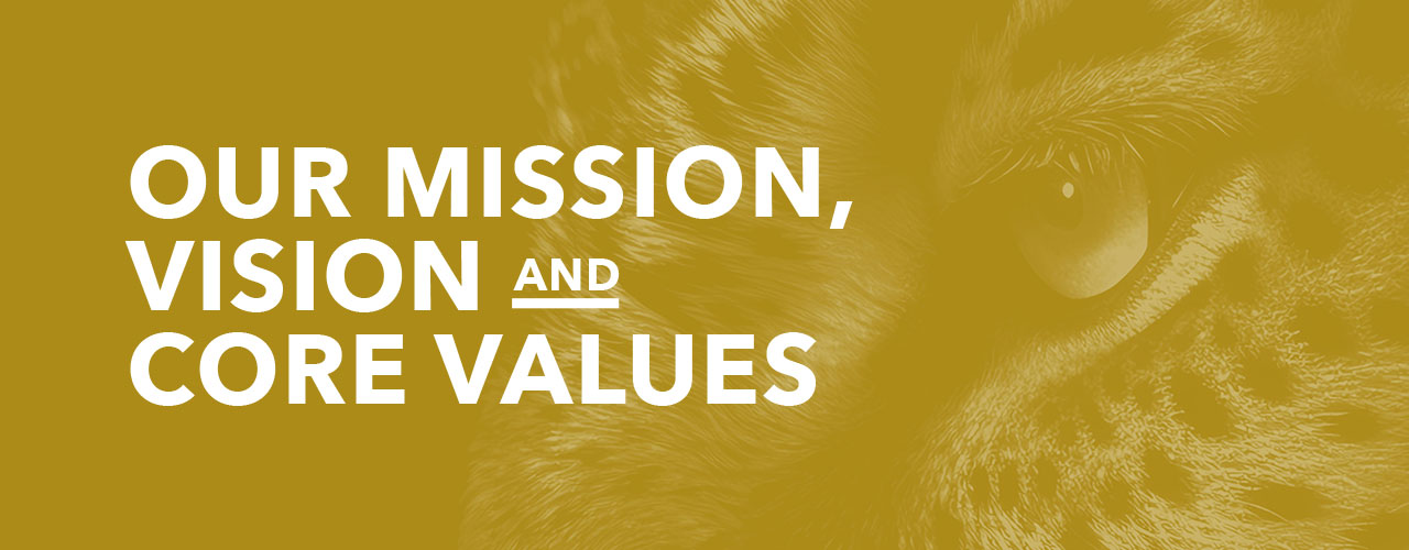 STC Mission