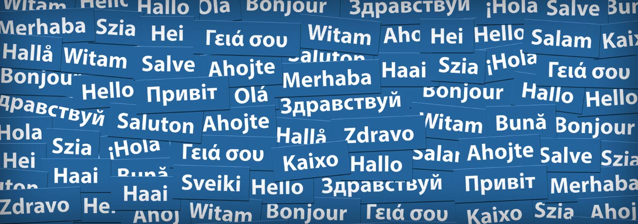Language and Cultural Studies