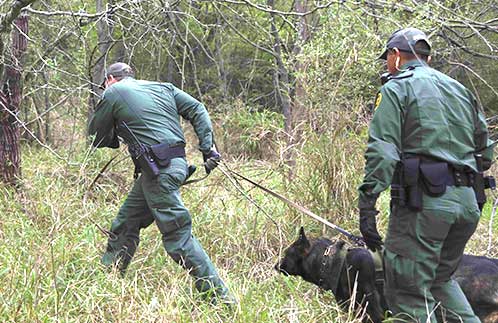 cbp agents