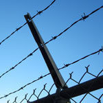 barbed wire fence