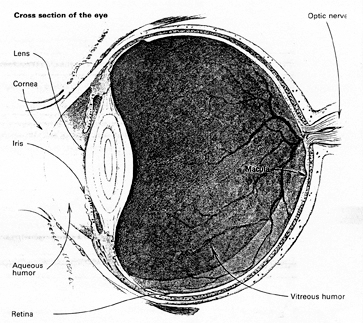 Eye diagram