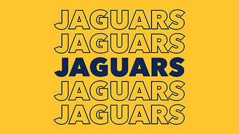 Repeating 'JAGUAR' text on a yellow background.