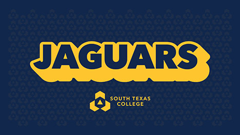 Yellow 'JAGUAR' text on a blue background.