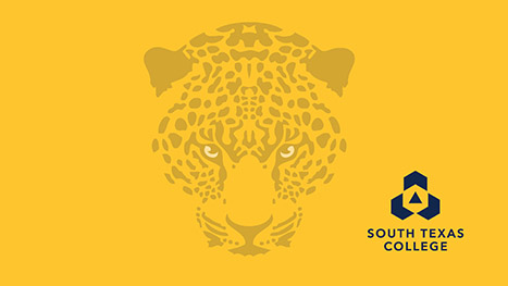 Jaguar graphic on a yellow background.