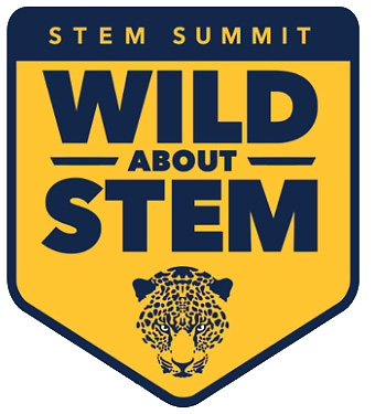 STEM Summit Logo