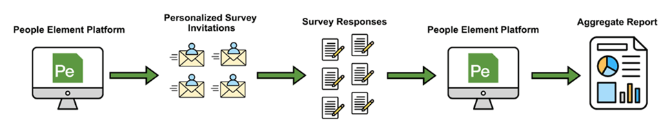 Process shows invitations sent, responses collected, then aggregated into a report